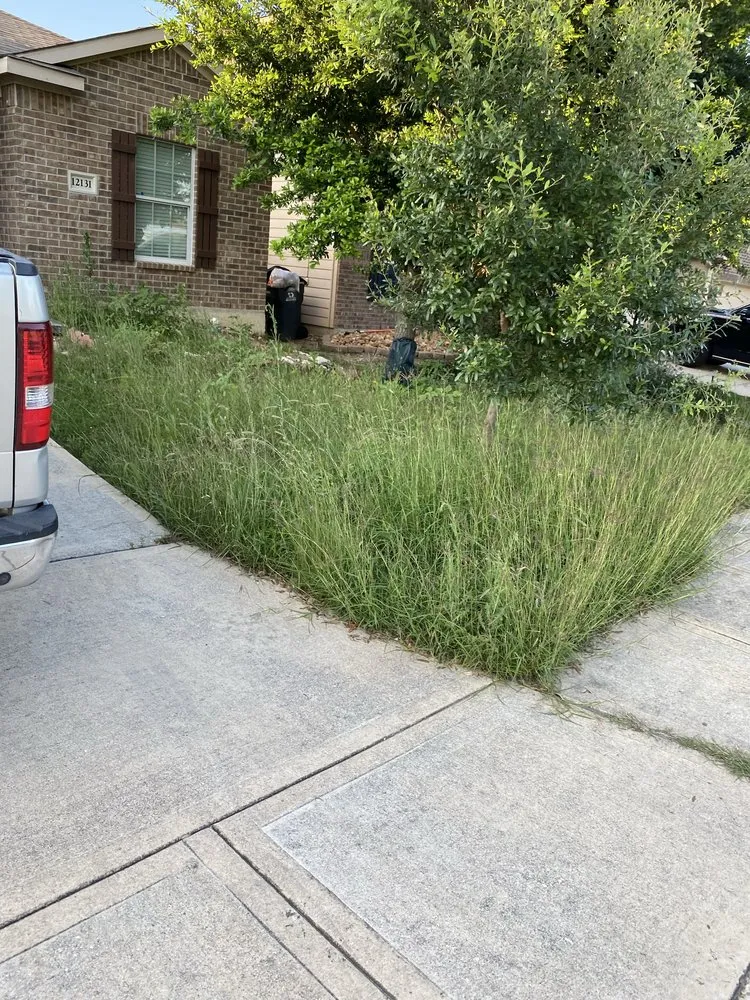 Top-rated outdoor landscaping in San Antonio, TX by Twisted oak lawn Care