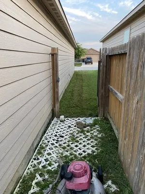 Twisted oak lawn Care Logo