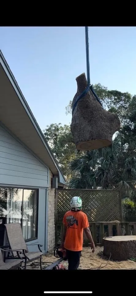 Trusted landscape design for outdoor upgrades across Weirsdale, FL - Twisted Pine Tree Service