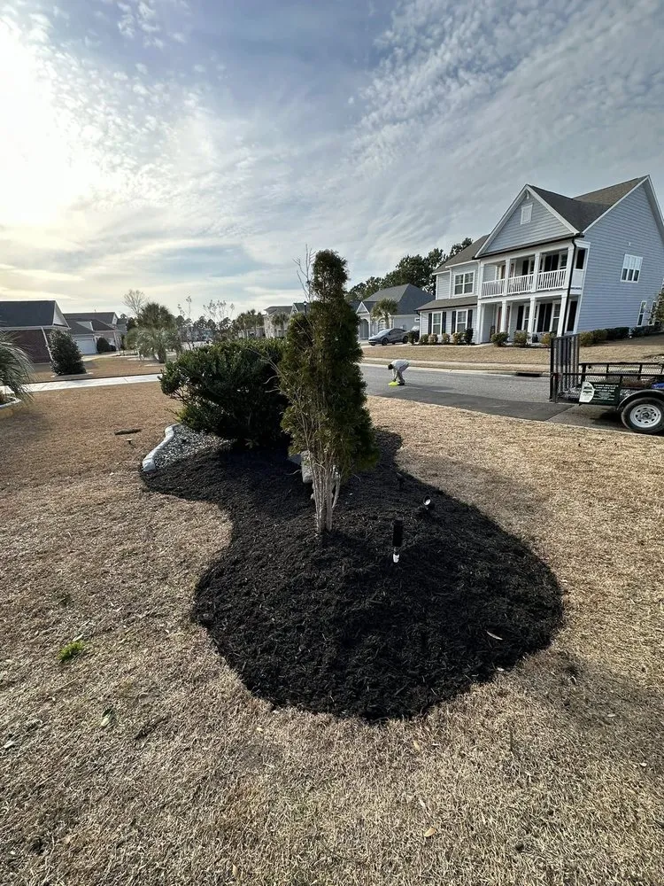 Affordable lawn care service experts serving Conway, SC - Twisted Shamrock Lawn Care