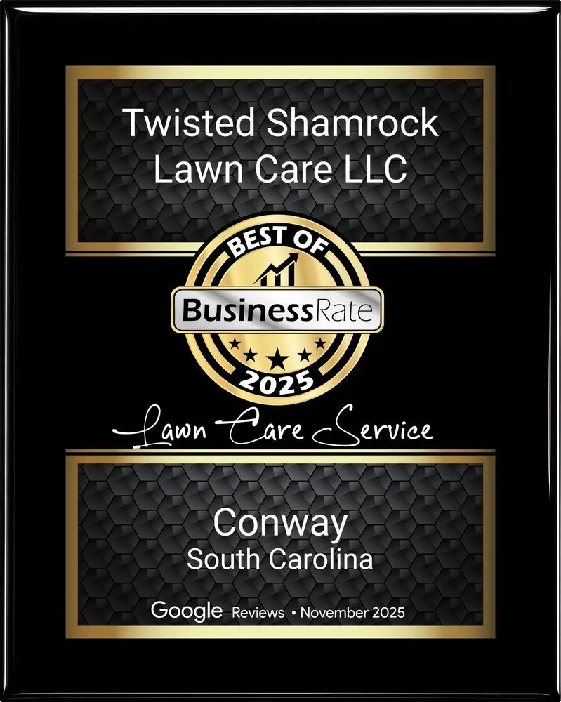 Affordable lawn care service for year-round maintenance in Conway, SC by Twisted Shamrock Lawn Care