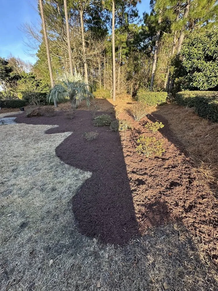 Affordable yard maintenance in Conway, SC - Twisted Shamrock Lawn Care