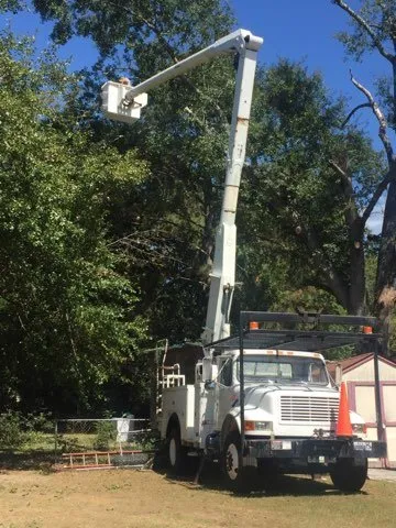 Local landscape installation experts serving Macon, GA - Twisted Tree Service