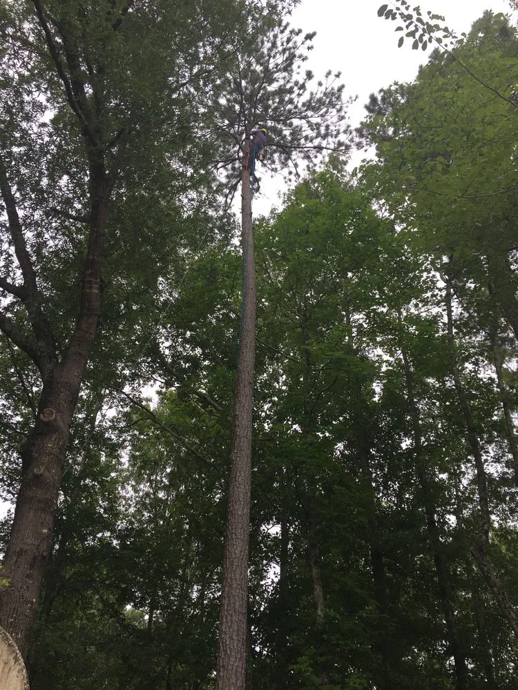 Top-rated outdoor landscaping near you in Macon, GA by Twisted Tree Service