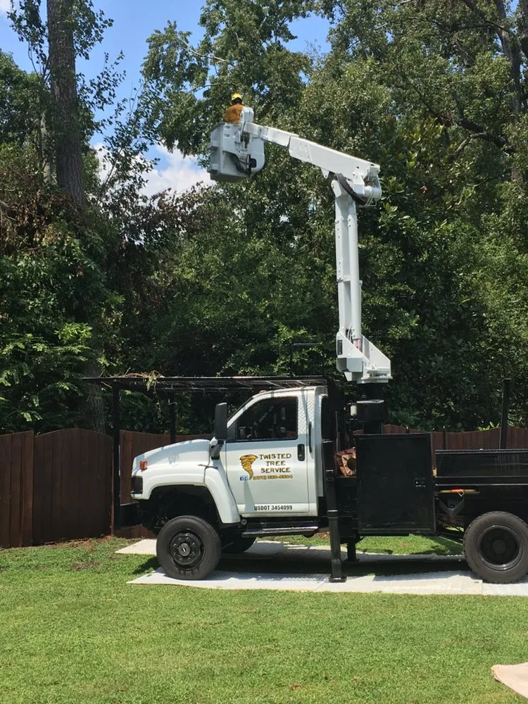 Reliable outdoor landscaping in Macon, GA by Twisted Tree Service