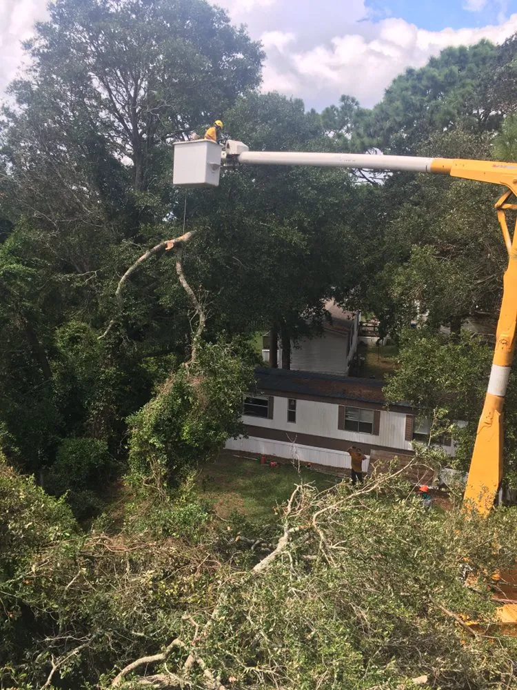 Custom lawn mowing service experts serving Macon, GA - Twisted Tree Service