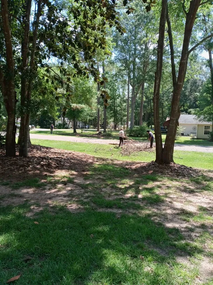 Top-rated yard maintenance experts serving Cape Coral, FL - Twisted Trunk Tree Service