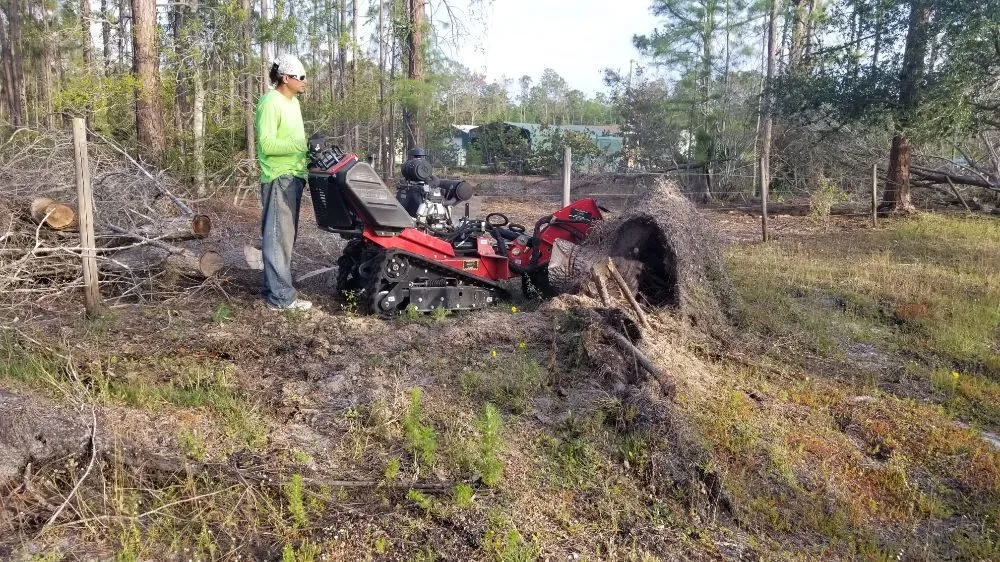 Trusted yard cleanup service for homes across Cape Coral, FL - Twisted Trunk Tree Service