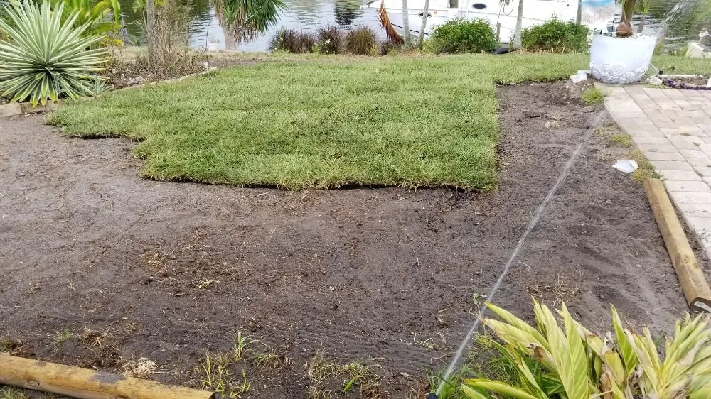 Affordable yard cleanup service in Cape Coral, FL - Twisted Trunk Tree Service