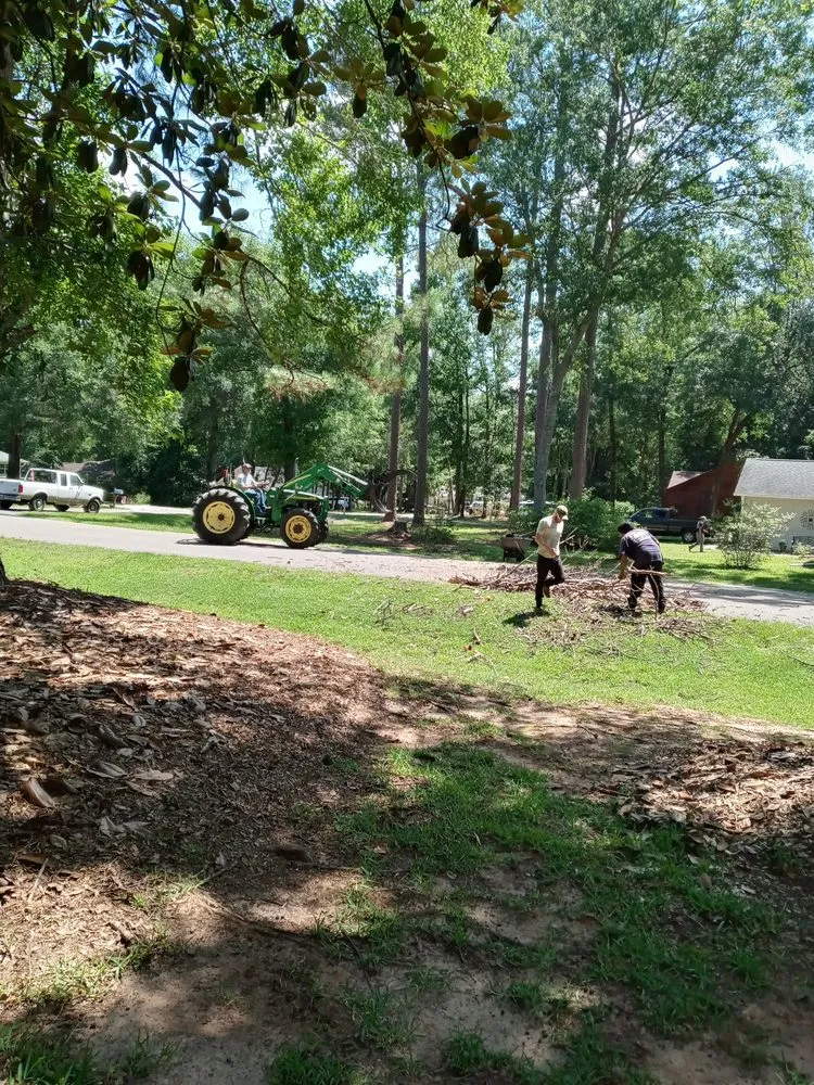 Professional landscaping services experts serving Cape Coral, FL - Twisted Trunk Tree Service