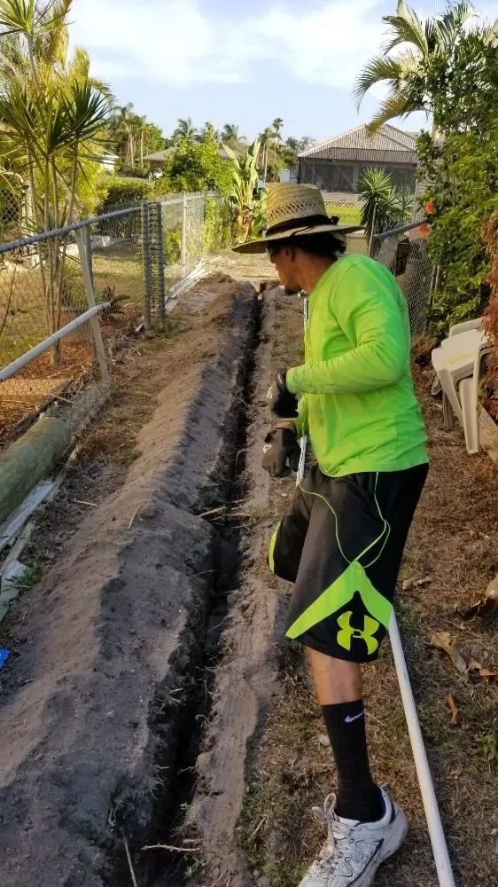 Top-rated outdoor landscaping in Cape Coral, FL - Twisted Trunk Tree Service