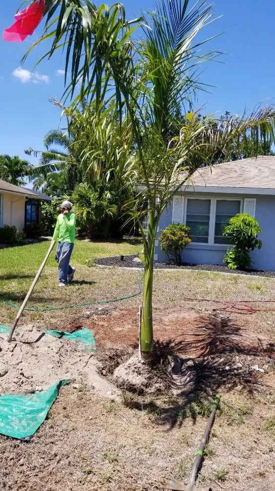 Trusted lawn mowing service for residential properties in Cape Coral, FL by Twisted Trunk Tree Service