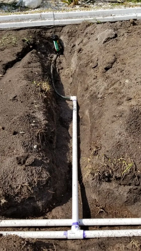 Reliable lawn mowing service experts serving Cape Coral, FL - Twisted Trunk Tree Service