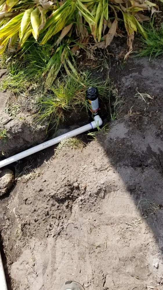 Top-rated outdoor landscaping in Cape Coral, FL - Twisted Trunk Tree Service