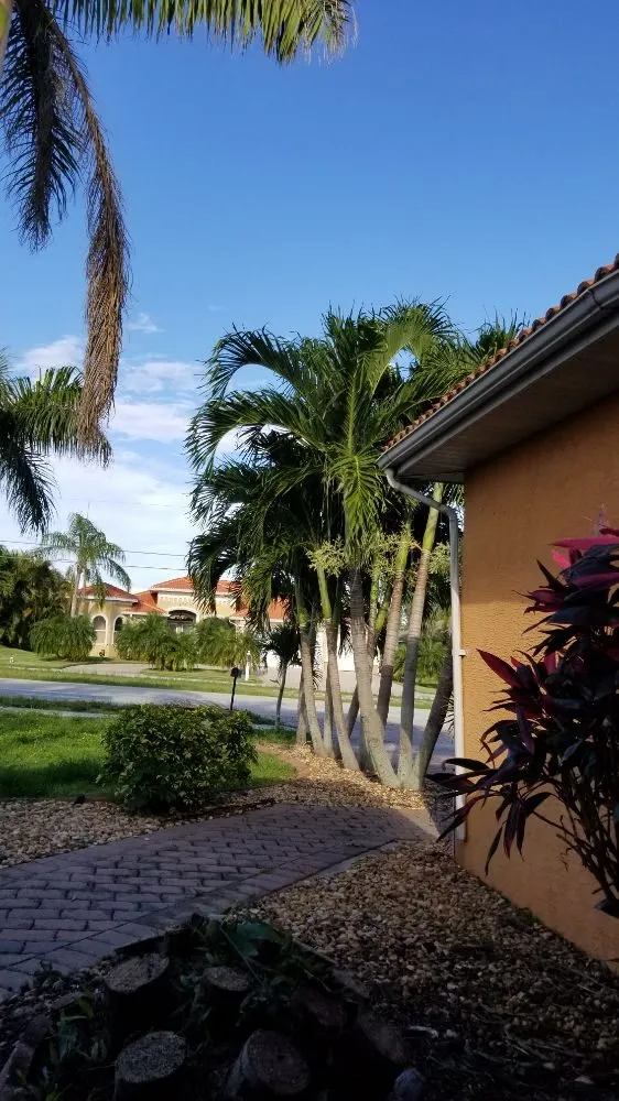 Top-rated lawn mowing service for residential properties in Cape Coral, FL by Twisted Trunk Tree Service