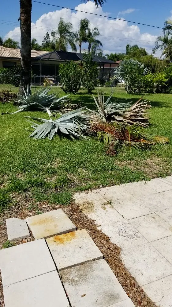 Custom yard cleanup service experts serving Cape Coral, FL - Twisted Trunk Tree Service