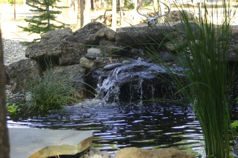 Trusted lawn care service experts serving Sisters, OR - Twisted Willow Landscapes
