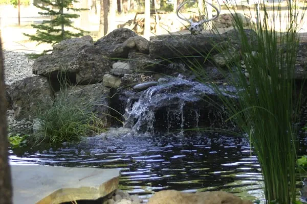 Twisted Willow Landscapes