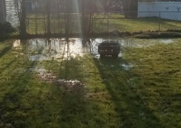 Top-rated yard cleanup service for residential properties in Berkley, MI by Twister Backyard Flooding Solutions