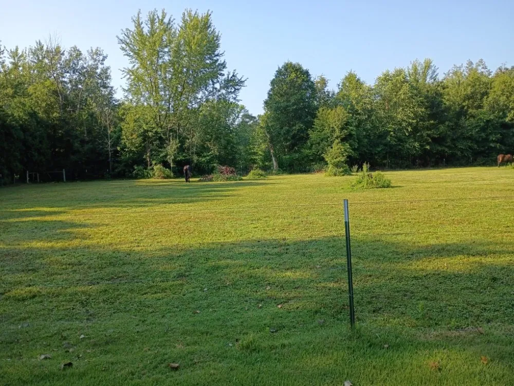 Reliable lawn care service in Walkerton, IN - Twitches 360 All Year Round Property Maintenance