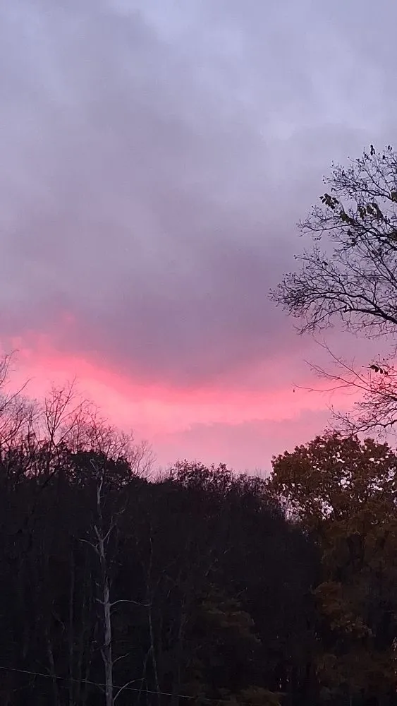 Affordable lawn care service experts serving Butler, PA - Twizzy's Company