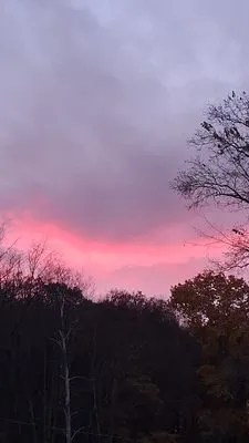 Twizzy's Company Logo