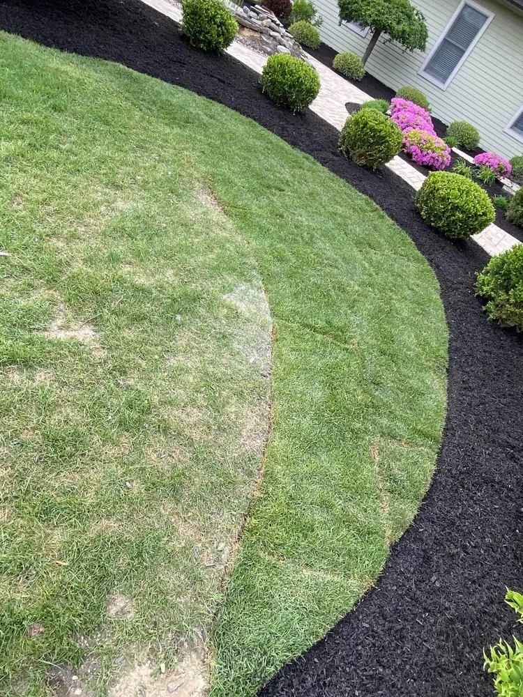 Reliable landscaping services in Bealeton, VA by Two Amigos Landscaping