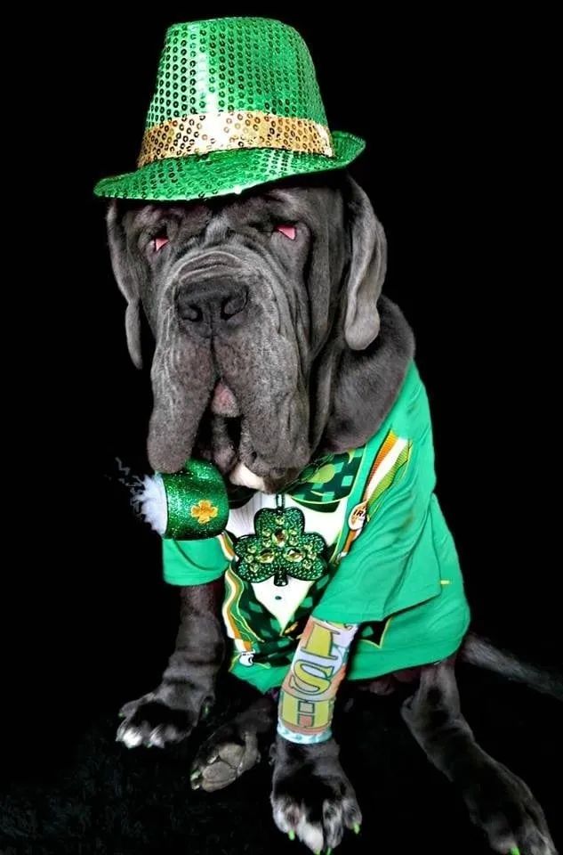 Expert yard maintenance in North Las Vegas, NV by Two Amigos Lawn Service