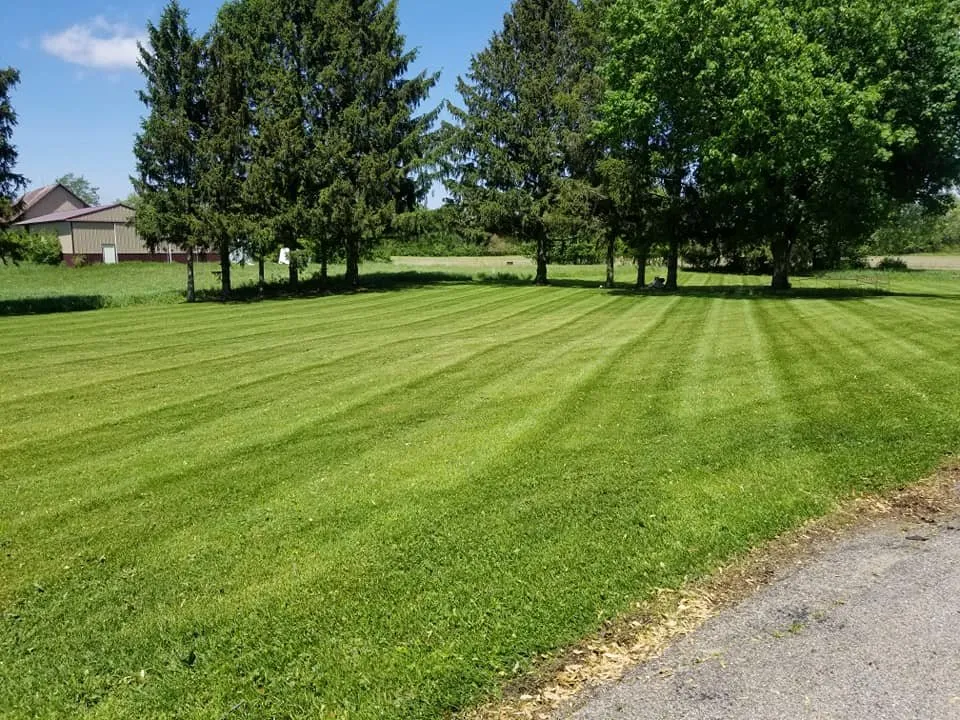 Top-rated yard cleanup service in Rochester, IN - Two and a Half Men Lawn Care