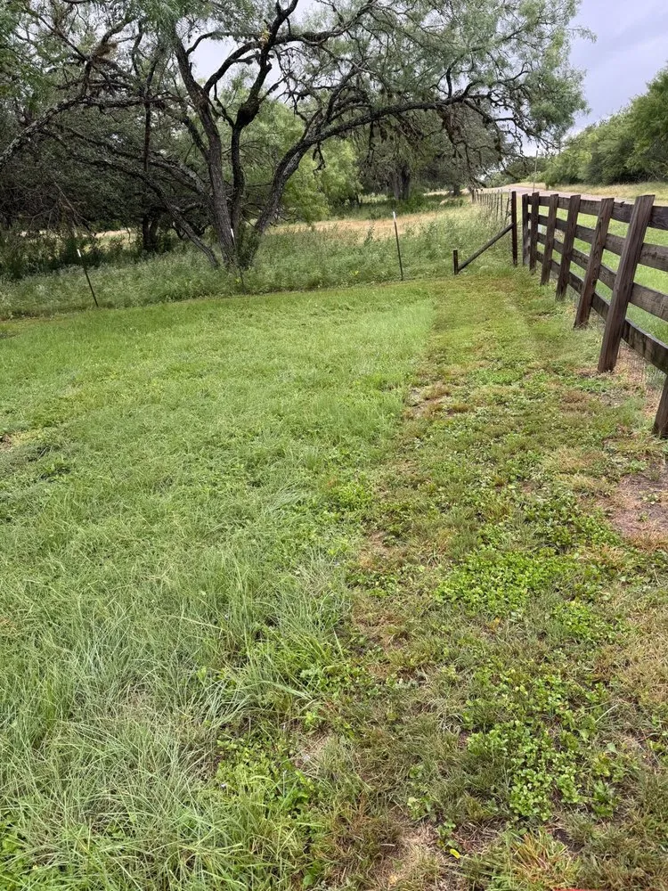Local outdoor landscaping in Boerne, TX by Two Birds Outdoor Services