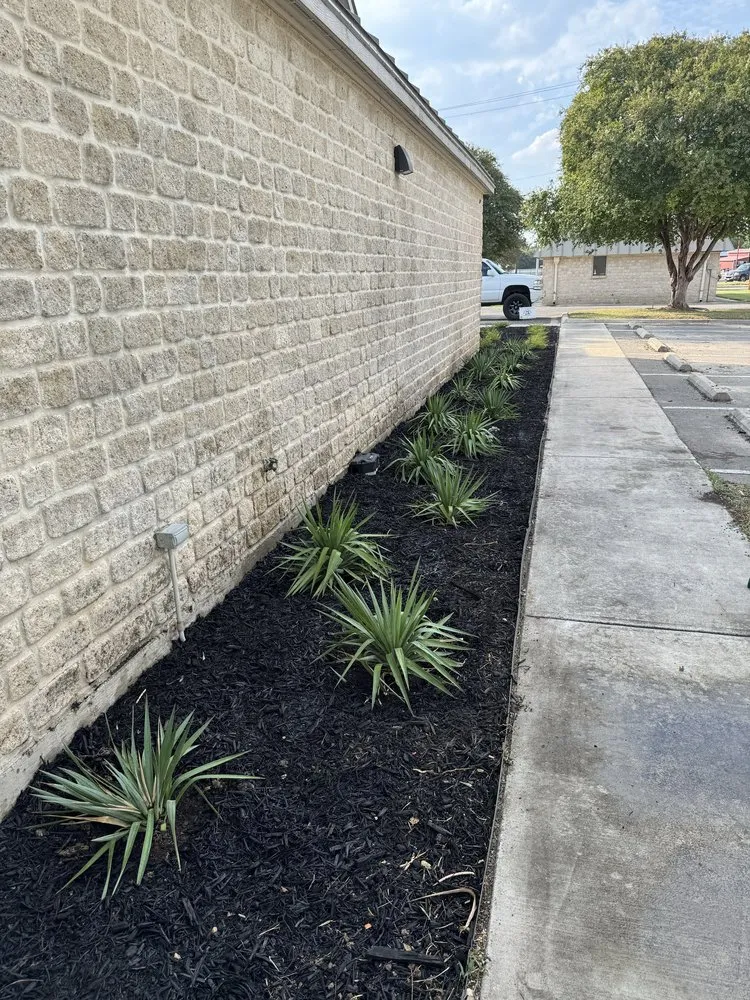 Top-rated landscaping services for homes across Boerne, TX - Two Birds Outdoor Services