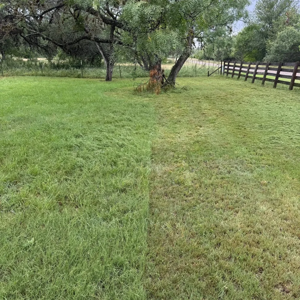 Expert lawn mowing service for year-round maintenance in Boerne, TX by Two Birds Outdoor Services