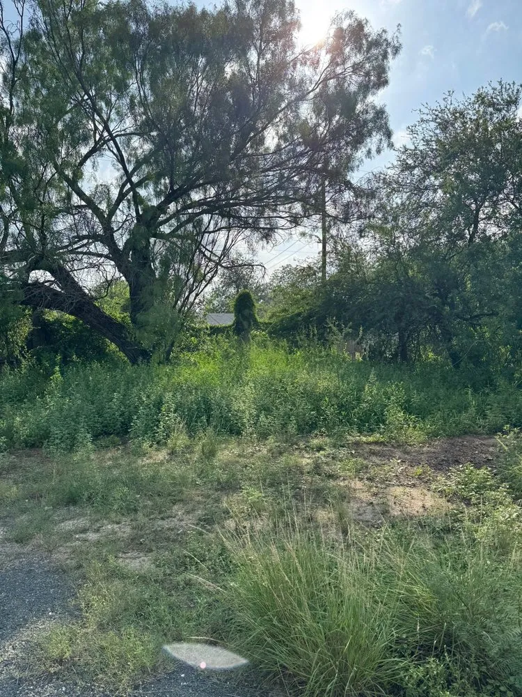 Reliable landscape design with custom design in Boerne, TX by Two Birds Outdoor Services