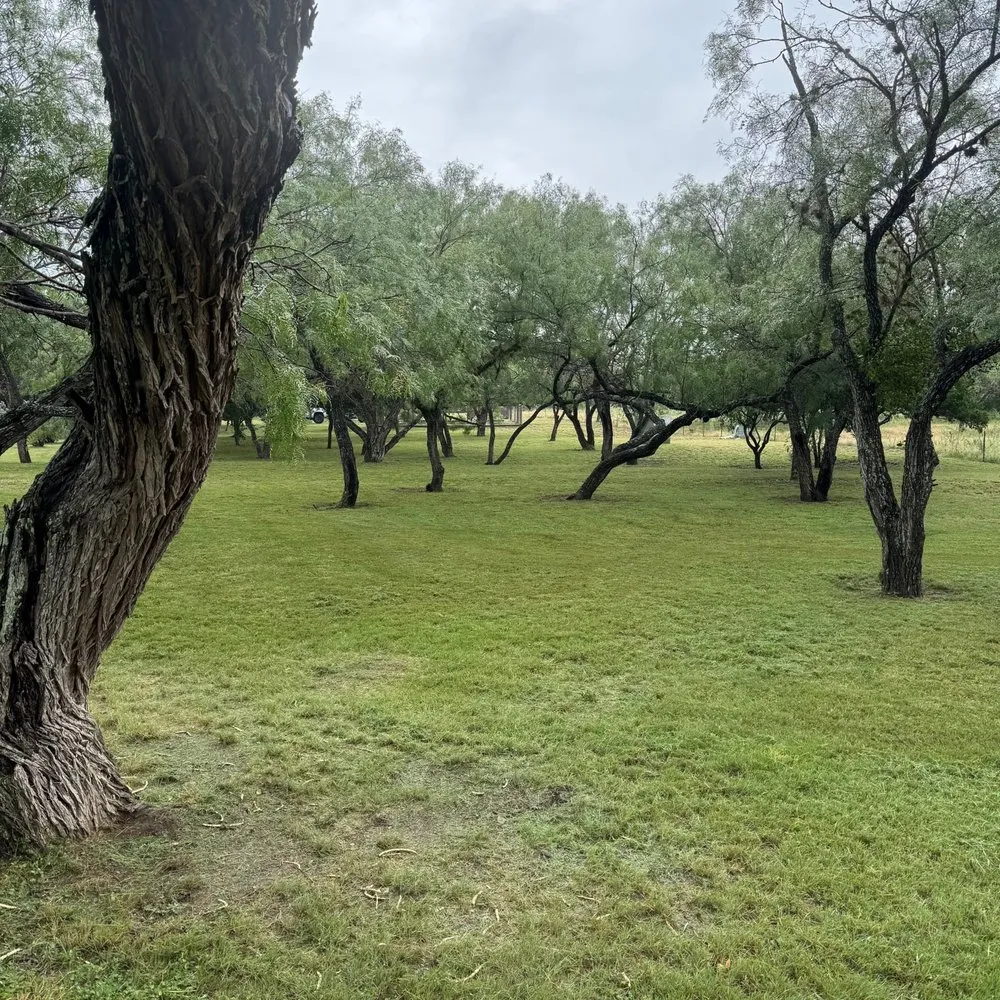 Professional outdoor landscaping for homes across Boerne, TX - Two Birds Outdoor Services