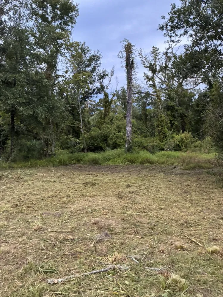 Expert landscape installation in Livingston, LA - Two Blades Lawn Care