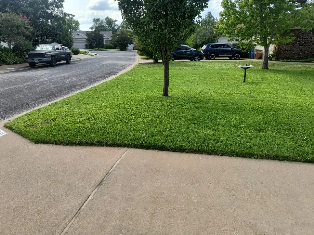 Expert landscape design for beautiful yards across Austin, TX - Two Blades Lawn Services