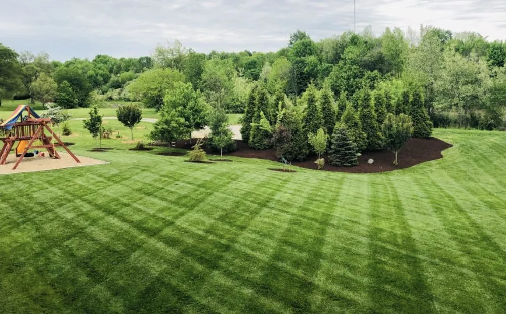 Local lawn mowing service in Merrill, WI by Two Boys & A Lawn Mower