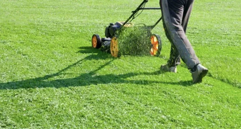 Professional garden landscaping for beautiful yards in Merrill, WI by Two Boys & A Lawn Mower