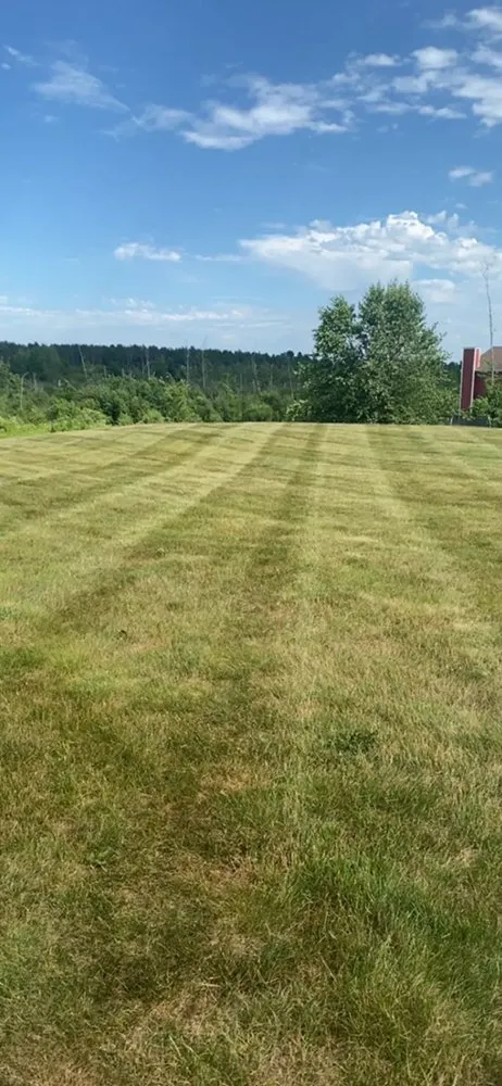 Top-rated yard cleanup service experts serving Merrill, WI - Two Boys & A Lawn Mower