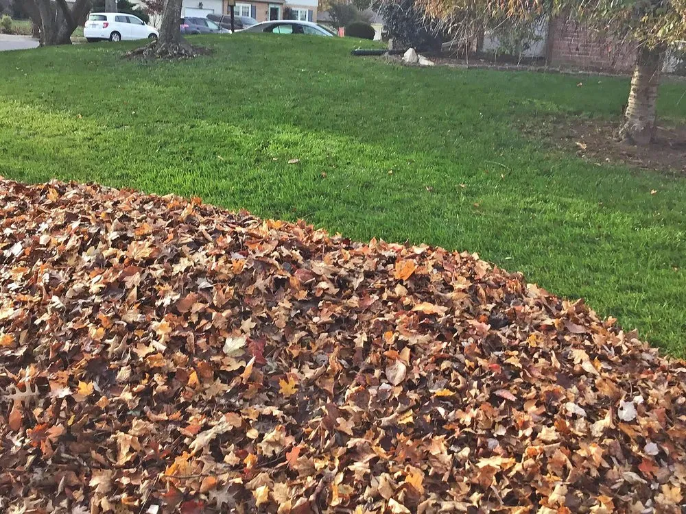 Expert residential landscaping with custom design in West Bend, WI by Two Bro Lawn Care