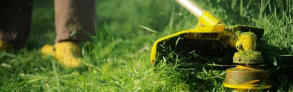 Top-rated landscape design for beautiful yards in West Bend, WI by Two Bro Lawn Care