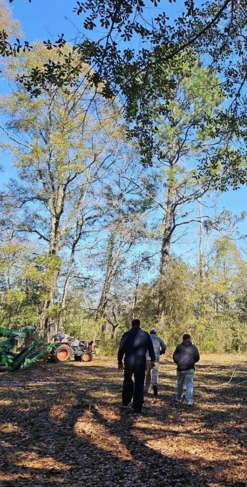 Affordable lawn care service with custom design across Covington, LA - Two Broke Brothers