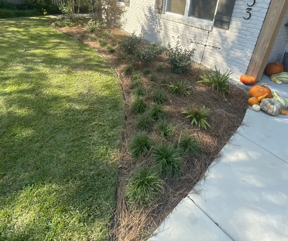 Affordable outdoor landscaping in Covington, LA - Two Broke Brothers