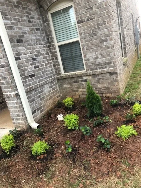 Affordable residential landscaping experts serving Covington, LA - Two Broke Brothers