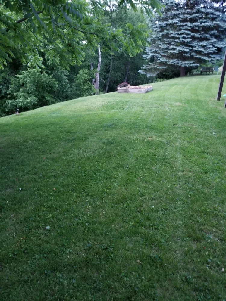 Professional yard maintenance experts serving Wheeling, WV - Two Bros Professional Services