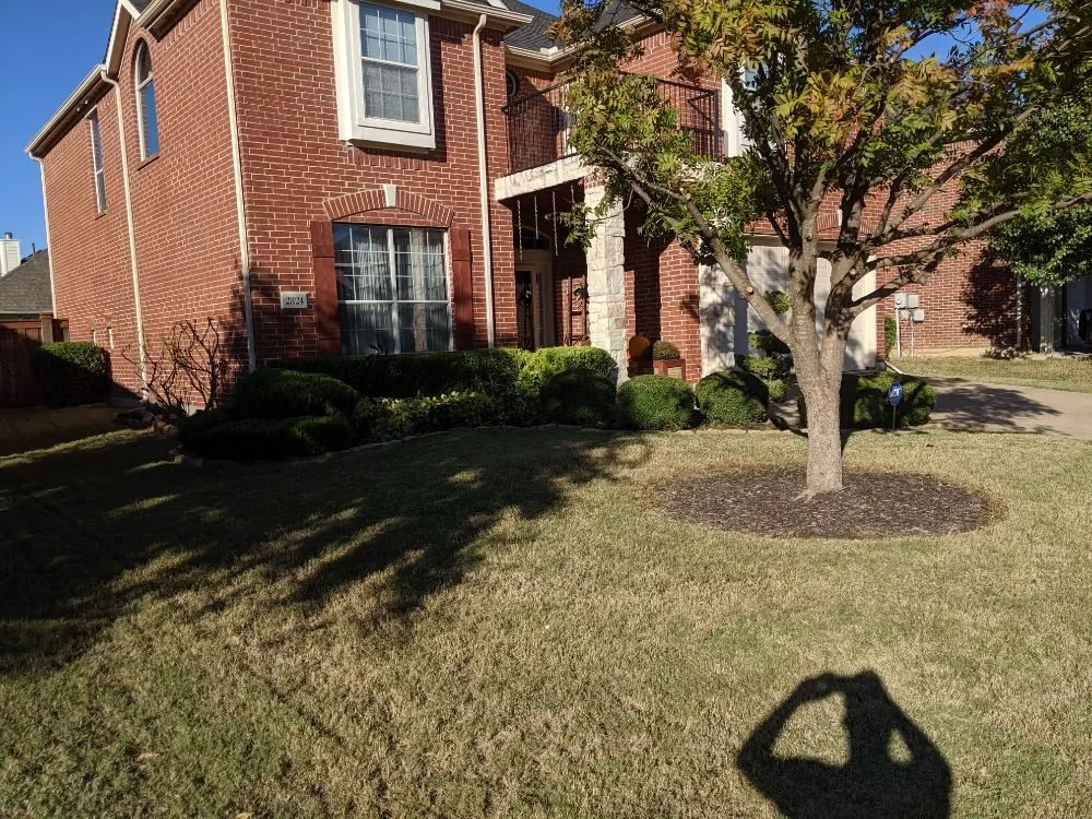 Expert yard maintenance experts serving Irving, TX - Two Brothers at work