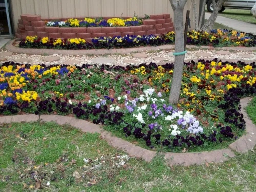 Top-rated residential landscaping experts serving Irving, TX - Two Brothers at work