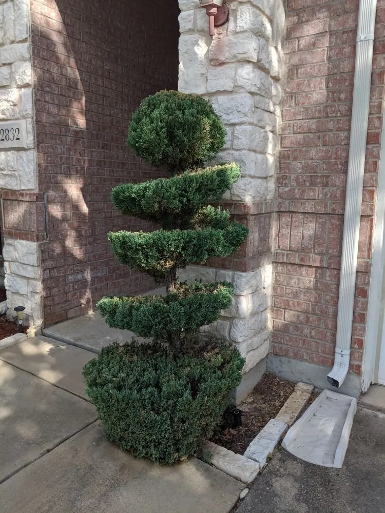 Trusted lawn care service experts serving Irving, TX - Two Brothers at work