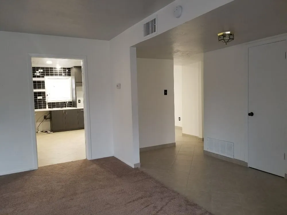 Reliable yard cleanup service in Irving, TX by Two Brothers at work