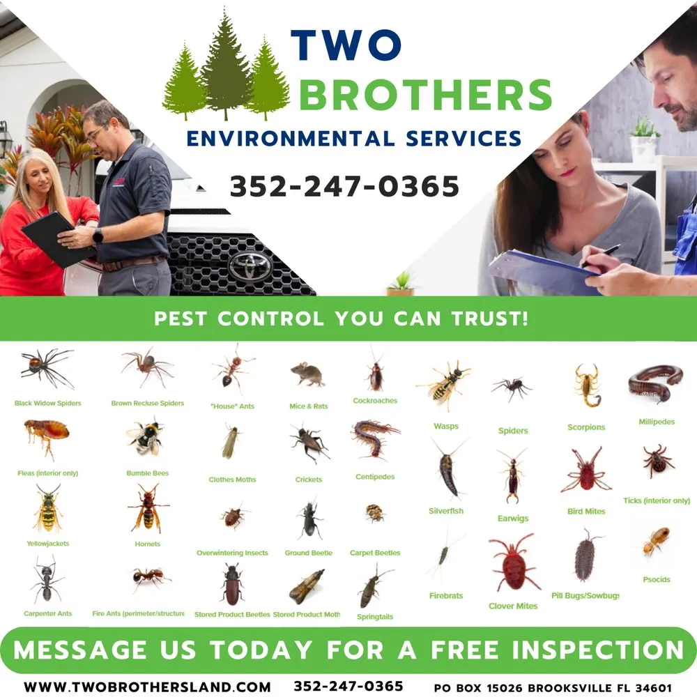 Local yard cleanup service experts serving Spring Hill, FL - Two Brothers Environmental Services